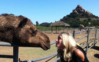 I Kissed a Camel at the LA Magazine Food Event!